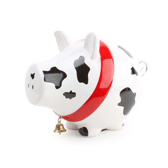 Mealheiro Salt&Pepper | Cow - 1