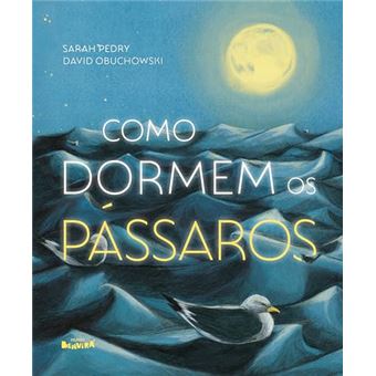 Como Dormem Os Pássaros - 1