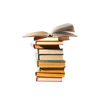 Directors Duties - 1