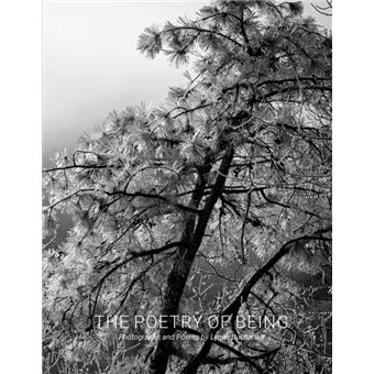 The Poetry Of Being  Photographs And Haikus By Daylight Books - 1