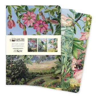 Kew Gardens Marianne North Set Of 3 Midi Notebooks By Flame Tree Publishing - 1