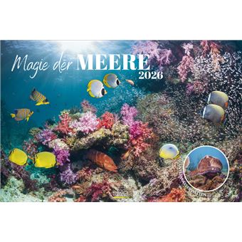 Parede Korsch Verlag 214726 - 1