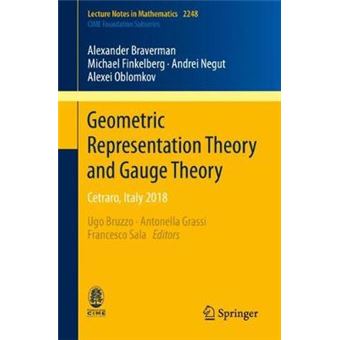 Geometric Representation Theory And Gauge Theory Cetraro, Italy 2018 2248 Lecture Notes In Mathematics - 1