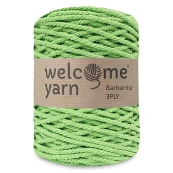 Fio Macrame Welcome Yarn Barbante 3Ply | 3,5mmx100m | 500G - Verde Claro 06 - 1