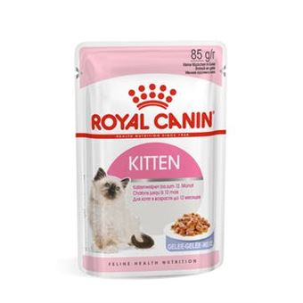 Comida húmida para gatos Royal Canin Kitten Jelly 85 g - 1