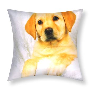 Conjunto de 2 Capas de Almofada Avizar | 40x40 cm | Design de peles de cão - 1