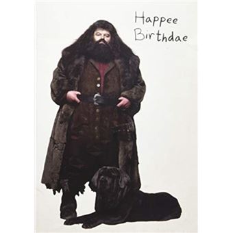 Harry Potter Hagrids Cake Popup Card - 1