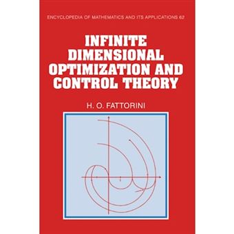 Infinite Dimensional Optimization and Control Theory - Hardback - 1999 - 1