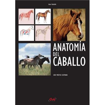 Anatomía Del Caballo - 1