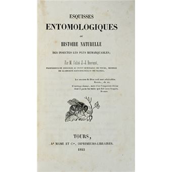 Esquisses entomologiques. - 1