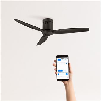 Ventilador de Teto - 1