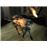 Alone in the Dark near Death PS3_3