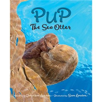 Pup The Sea Otter - 1