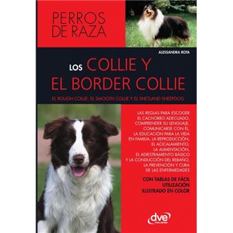Los Collie Y El Border Collie - 1