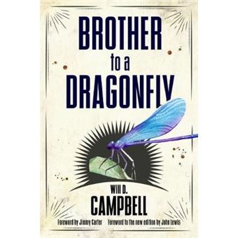 Brother to a Dragonfly - 1
