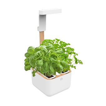 Horta Urbana Véritable BOTANEO - EYLO - 1