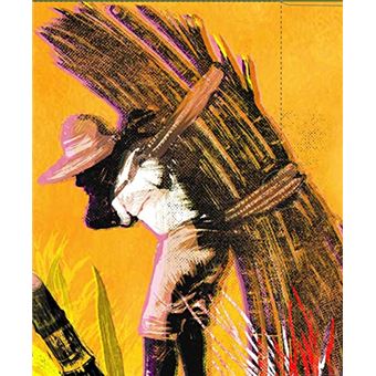 Ciclo Da Cana De Açucar - 1