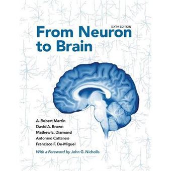 From Neuron to Brain - 1