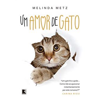 Um Amor De Gato - 1