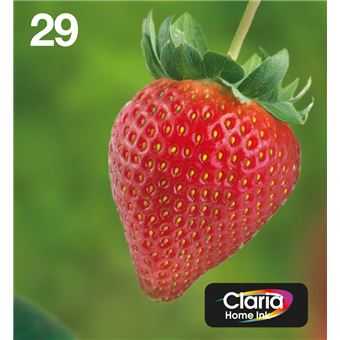 Tinteiro Epson Strawberry C13T29864511 - 1