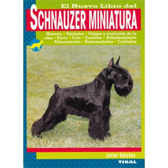 Schnauzer Miniatura - 1