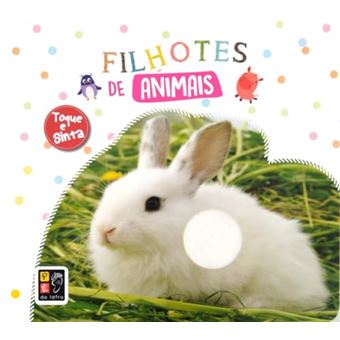 Toque E Sinta - Filhotes De Animais - 1