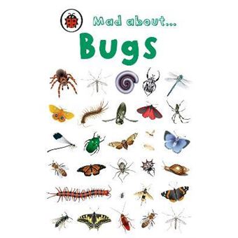 Mad About Bugs - 1