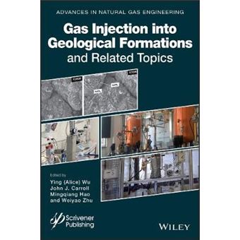 Gas Injection Into Geological Formations And Related Topics - 1
