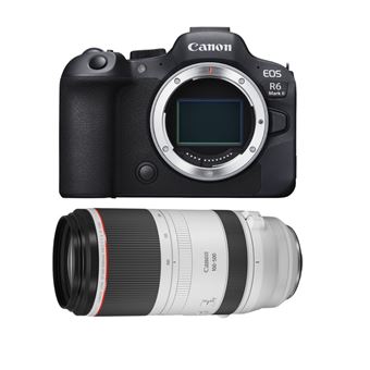 Canon EOS R6 Mark II ( R6II ) + RF 100-500mm f/4.5-7.1 L IS USM + PDF 20 Técnicas para Melhorar as suas Fotografias - 1