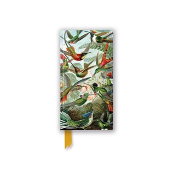 Ernst Haeckel: Hummingbirds (Foiled Slimline Journal) (Flame Tree Slimline Journals) - 1