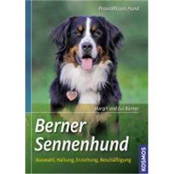 Berner Sennenhund - 1