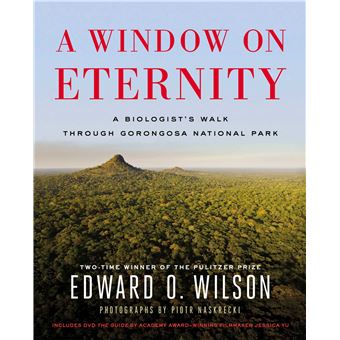 A Window on Eternity - 1
