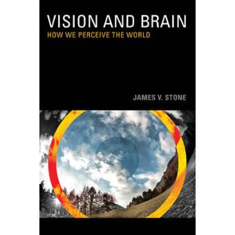 Vision and Brain - How We Perceive the World - Paperback - 2012 - 1
