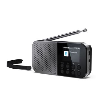 Rádio Sharp DR-P520 | Cinzento - 1