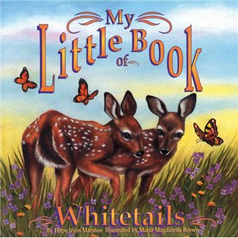 My Little Book Of Whitetails - 1
