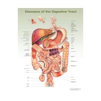 Diseases Of The Digestive Tract Anatomical Chart Anatomical Chart ...