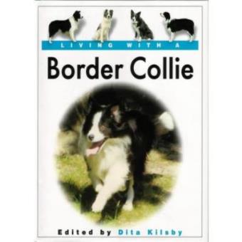 Living with a Border Collie - 1