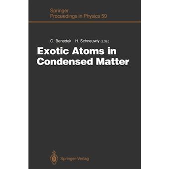 Exotic Atoms in Condensed Matter - Proceedings of the Erice Workshop at the Ettore Majorana Centre for Scientific Culture, Erice, Italy, May 19-25, 1990 - Paperback - 2011 - 1