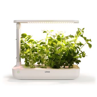 Jardim Interior Livoo - Branco - 1