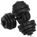 Conjunto 2 Halteres 30 kg vidaXL