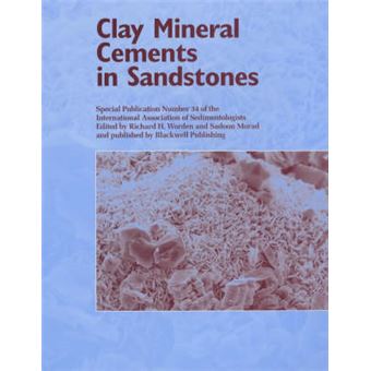 Clay Mineral Cements in Sandstones - Paperback - 2002 - 1