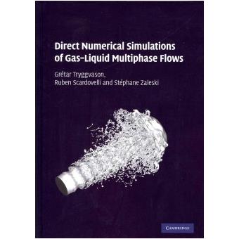 Direct Numerical Simulations of Gas-Liquid Multiphase Flows - Hardback - 2011 - 1