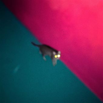 CHK CHK CHK - Wallop [2LP VINIL VERDE+ROSA] Edição Limitada - 1