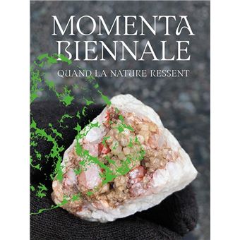 Momenta Biennale De L'Image - 1