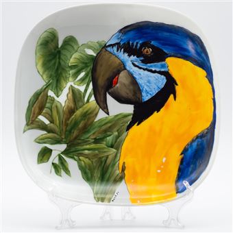 Prato Papagaio Presentear - 1