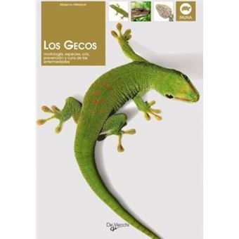 Los gecos - 1
