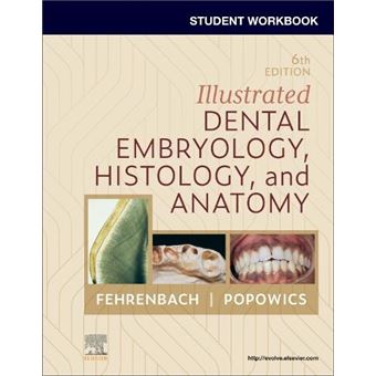 Student Workbook For Illustrated Dental Embryology Histology And Anatomy - 1