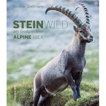 Alpine Ibex Steinwild Am Groglockner - 1
