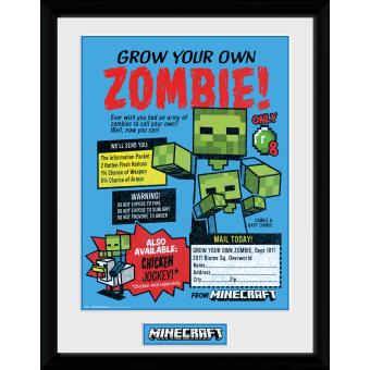  Poster  GB Posters  Minecraft Grow Your Own Zombie  30 x 40 
