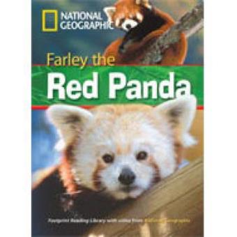 Farley the Red Panda - 1